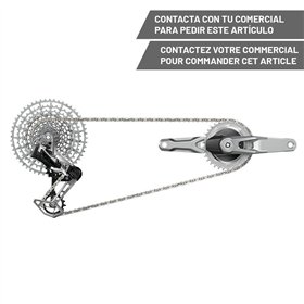 GRUPO SRAM GS 1987 T-TYPE EAGLE AXS DM 170 32D 12V