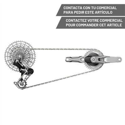 GRUPO SRAM GS 1987 T-TYPE EAGLE AXS DM 170 32D 12V