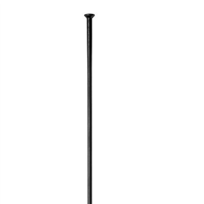 CAJA 100 RADIOS DT SWISS ALPINE 2.0x2.34x180mm PL