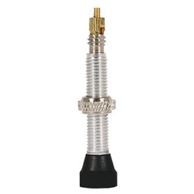 VALVULA TUBELESS KLEIN 45 mm DESMONTABLE (15U)