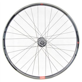 RUEDA DEL.GURPIL ALPHA 29 9.5x100 DISCO 6AG.TLR PL