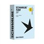 CAMARA SCHWALBE SV15 700x23-30C PRESTA 50mm
