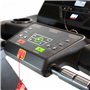 RS1000 MULTIMEDIA