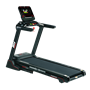 RS800 MULTIMEDIA