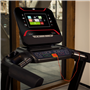 RS800 MULTIMEDIA