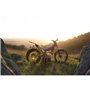 MOTO SHERCO 300 ST-F FACTORY ADAM RAGA REPLICA - 2025