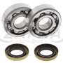 Kit rodamientos y retenes de cigüeñal All Balls 24-1102