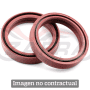 Kit de retenes de horquilla ALL BALLS - 48x61x11