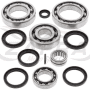 Kit All Balls de rodamientos y retenes del diferencial trasero Kawasaki/Suzuki