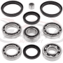 Kit All Balls de rodamientos y retenes del diferencial trasero Arctic Cat/Kymco