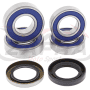 Kit rodamientos de rueda All Balls 25-1673