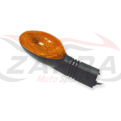 Intermitente delantero izquierdo