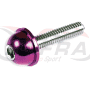 Kit 12 tornillos allen c/abombada M6x30. Oro