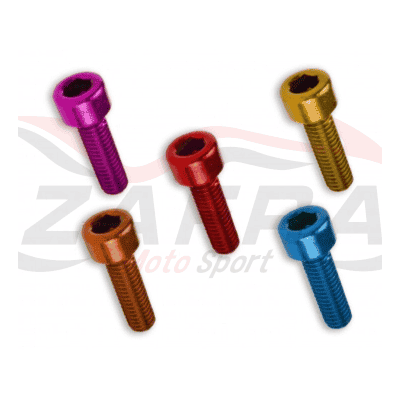 Kit 6 tornillos allen c/cilindrica M8x50. Oro