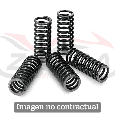 Kit de muelles de embrague TECNIUM