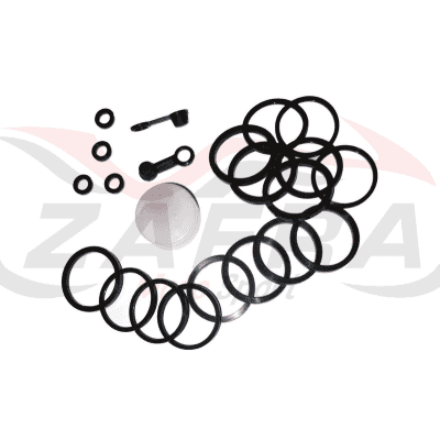 Kit de reparación pinza de freno delantera TECNIUM Kawasaki