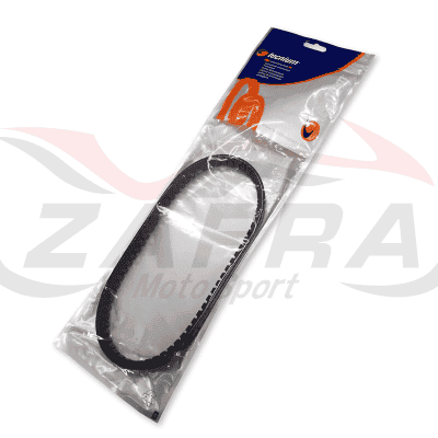Correa de transmisión Tecnium SH Scoopy 125 01-12
