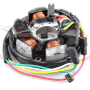 Stator Tecnium Aprilia AF1, Europa, Red Rose 50 AP8212710