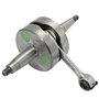 CIGUENALES CARENZI EVOLUTION ADAPT DERBI 50 SENDA 2006 / GPR 2006 / APRILIA 50 RS 2006 / GILERA 50 SMT / RCR 2006 ( EURO 3 ) ( M