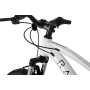 Bicicleta Infantil RALI PRO 1