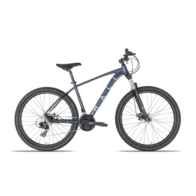 Bicicleta MTB RALI A-1 (29")